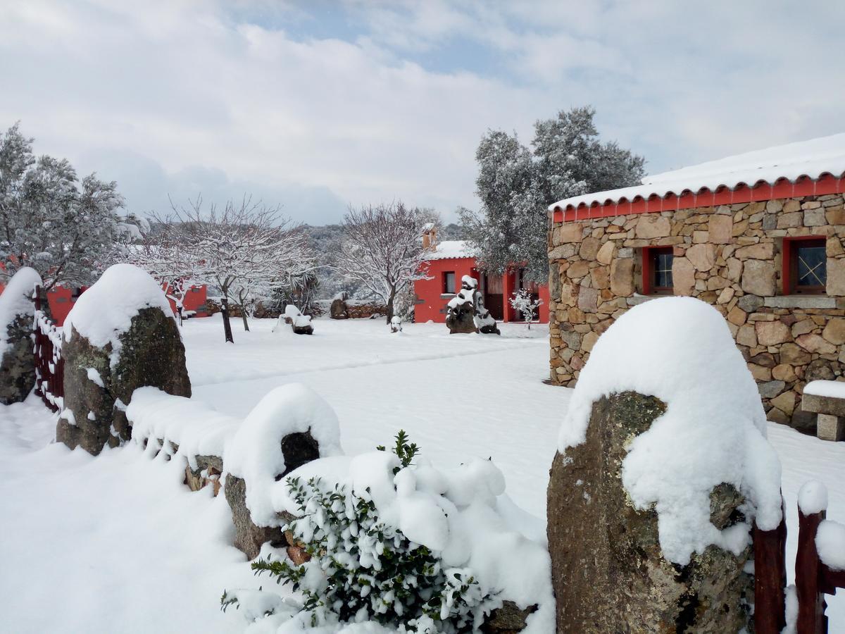 サンタントーニオ・ディ・ガッルーラ Turismo Rurale L'Agliuleddaヴィラ エクステリア 写真